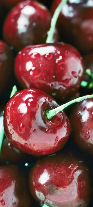 Close-up Shot Cranberry Wallpaper