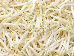Close-up Shot Of Fresh Mung Bean Sprouts Wallpaper