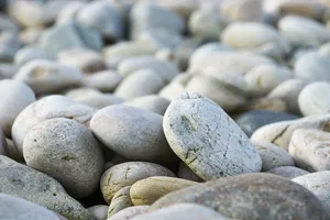 Close-up White Beach Stone Wallpaper