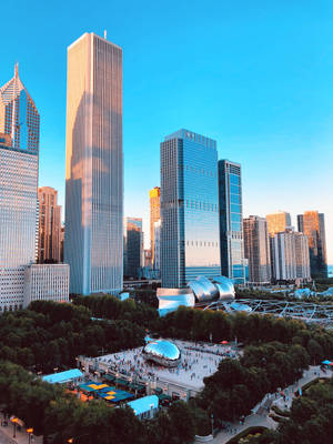 Cloud Gate Millennium Park Chicago Skyline Wallpaper