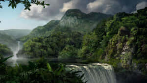 Cloudy Day On Jungle Desktop Wallpaper