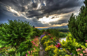 Cloudy Flower Garden Wallpaper