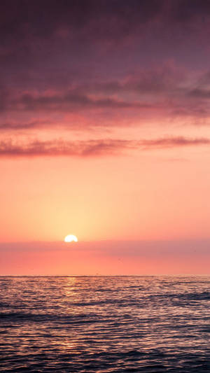 Cloudy Pink Sunset Ocean Wallpaper