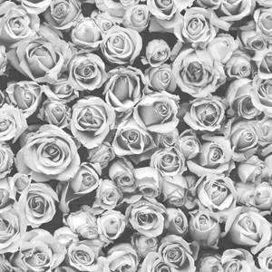 Cluster Of Black And White Rose Flowers Wallpaper