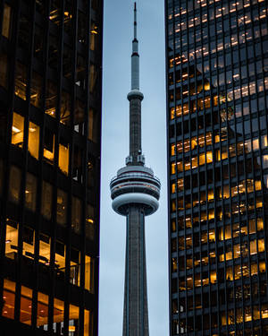 Cn Tower Between Buildings Wallpaper