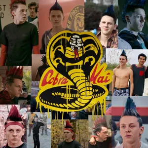 Cobra Kai Hawk Compilation Wallpaper