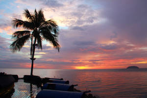 Coconut Tree Silhouette With Sunset Sky Wallpaper