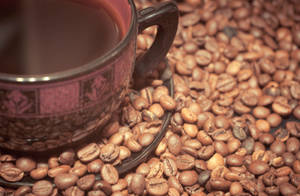 Coffee Beans Hot Coffee Wallpaper