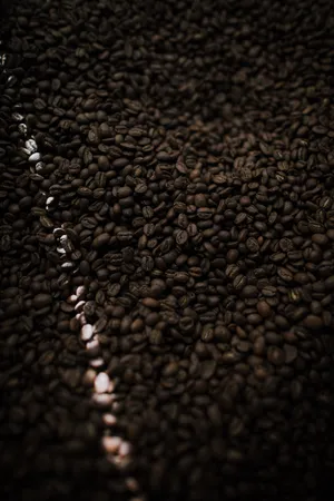 Coffee Beans Light Beam Wallpaper