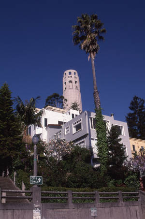 Coit Tower Street View Wallpaper