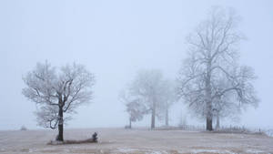 Cold Minnesota Winter Wallpaper