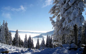 Cold Mountain Scenic Landscape Wallpaper