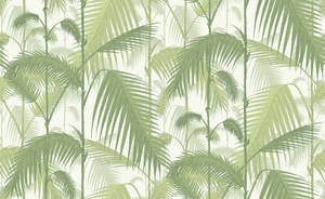 Cole & Son Palm Jungle Wallpaper