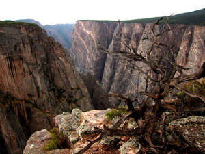 Colorado's Black Canyon Close Up Wallpaper