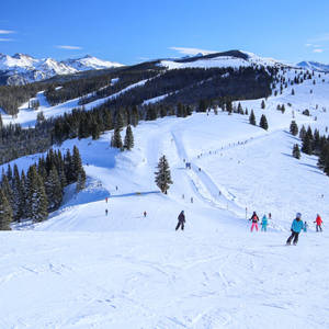 Colorado Vail Ski Trail Wallpaper