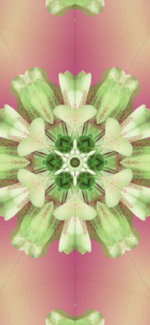 Colorful Abstract Ios 17 Wallpaper Wallpaper