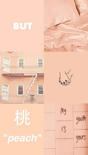 Colorful Blooms Of A Pastel Peach Flower Wallpaper