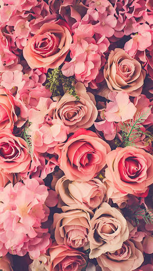 Colorful Blumen Image Wallpaper