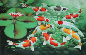Colorful Koi Fish Wallpaper