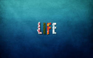 Colorful Life Desktop Wallpaper