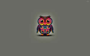 Colorful Owl Cute Girly Ipad Wallpaper