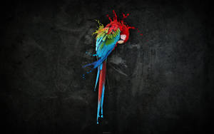 Colorful Parrot Bird Art Wallpaper