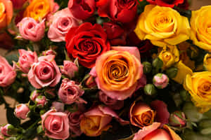 Colorful Rose Bouquet Wallpaper