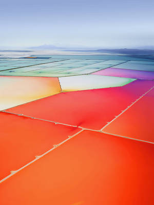 Colorful Slat Ponds Iphone Se Wallpaper