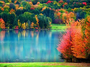 Colorful Trees During Fall Wallpaper