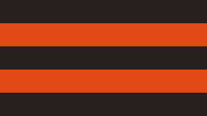 Colors Of Cleveland Browns Wallpaper
