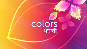 Colors Tv Colorful Wallpaper