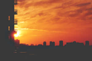 Come Chase The Lovely Sunset! Wallpaper