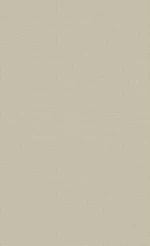 Commonly Used Neutral Color Palette Wallpaper