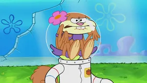 Compressed Sandy Cheeks Wallpaper