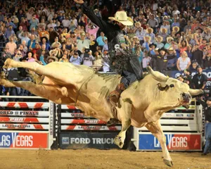 A Man Riding A Bull Wallpaper | WallpapersOK