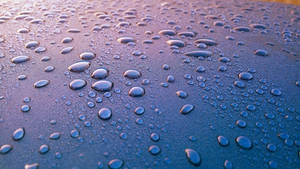 Cool 3d Water Drops Scattered Wallpaper