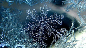 Cool !920x1080 Winter Desktop Wallpaper