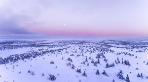 Cool Aesthetic Norway Snow Field Wallpaper