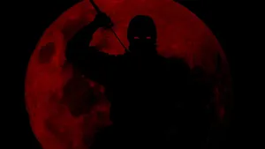 Cool Black Ninja On A Red Moon Wallpaper