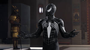 Cool Black Spiderman Wallpaper