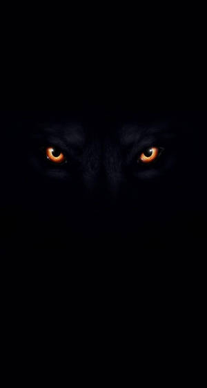 Cool Black Wolf Eyes Wallpaper