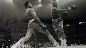 Cool Boxing Dodge Wallpaper