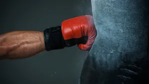 Cool Boxing Punching Bag Wallpaper