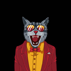Cool Cat Digital Art Wallpaper
