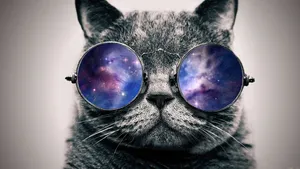 Cool Cat Donned In Galaxy Glasses Wallpaper