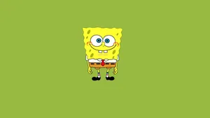 Cool Cat Lounging With Sunglasses Wallpaper