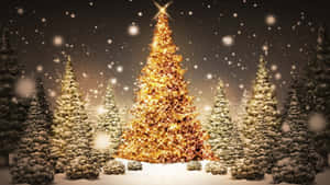 Cool Christmas Tree In The Conifer Forest Wallpaper