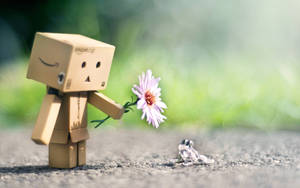 Cool Cute Boxman Wallpaper