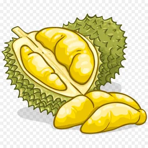 Cool Durian Fruit Digital Art Wallpaper