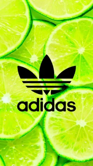 Celebrate Your Style With Adidas Wallpaper WallpapersOK